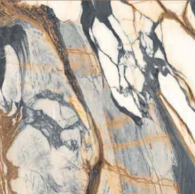 CALACATA PICASSO 60x120