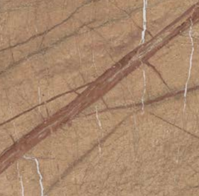 FOREST GOLD 60x120
